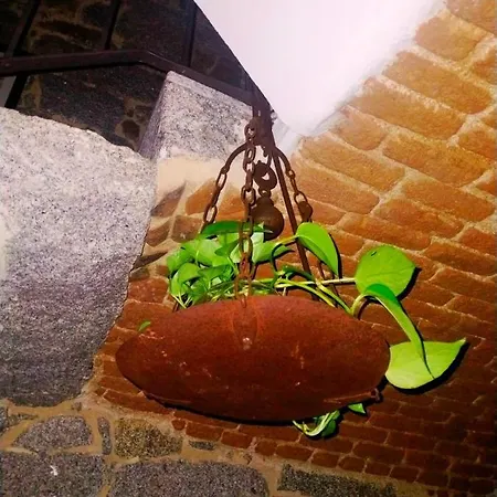 Borgo Dei Centenari Oda ve Kahvaltı Orgosolo